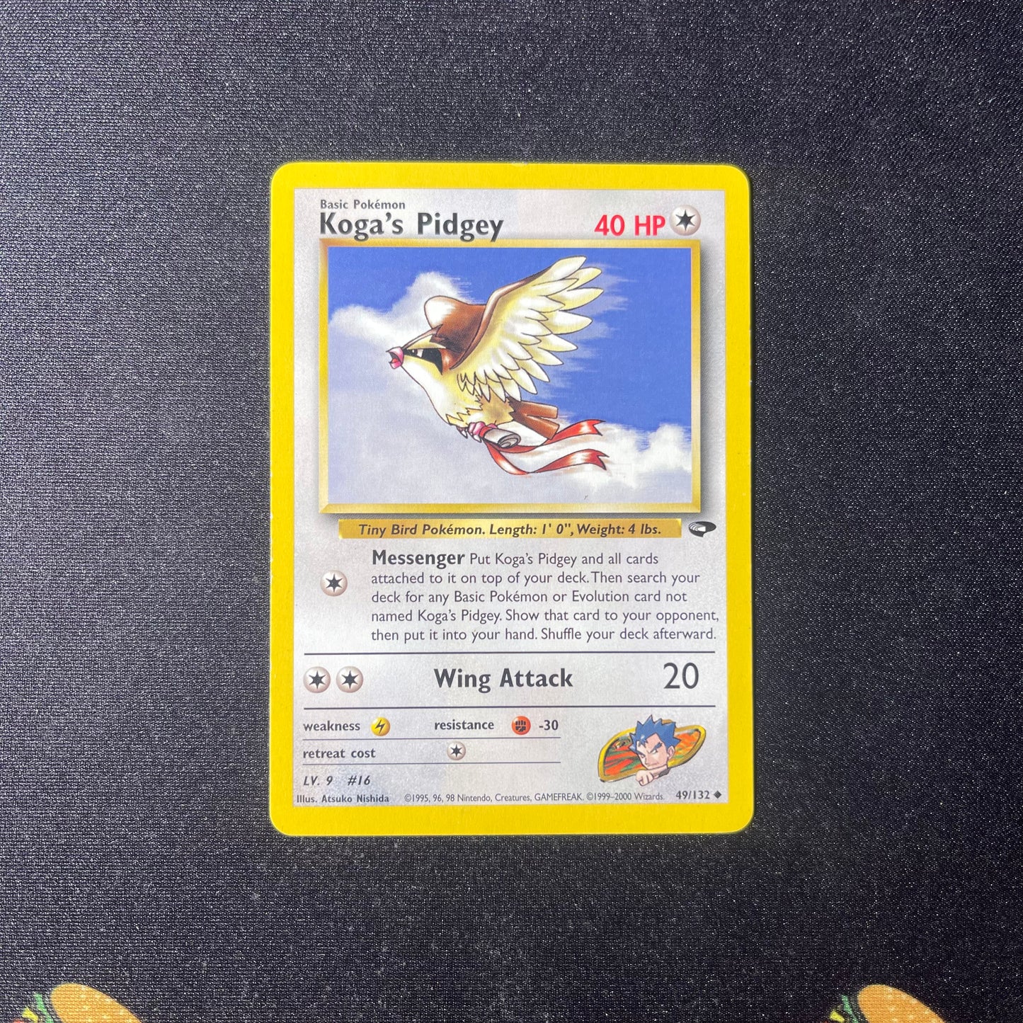 Koga's Pidgey (49) - Gym Challenge (G2)